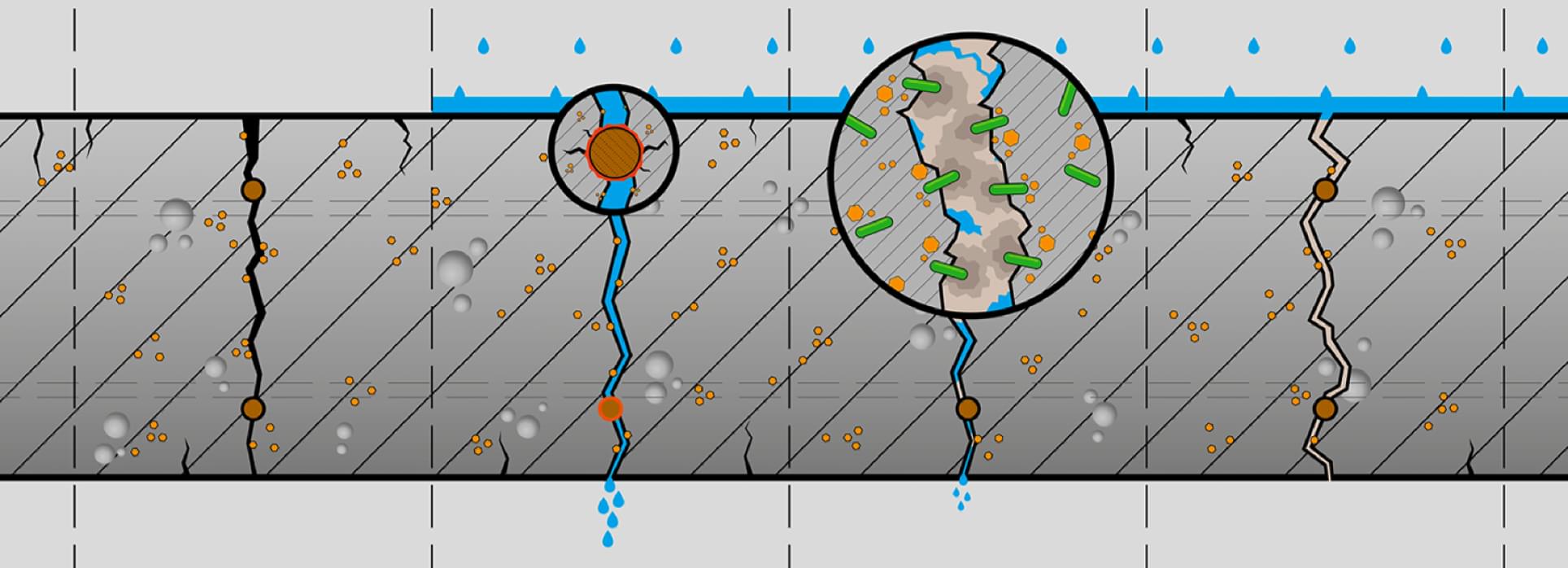 微生物を使った自己治癒コンクリートBasilisk